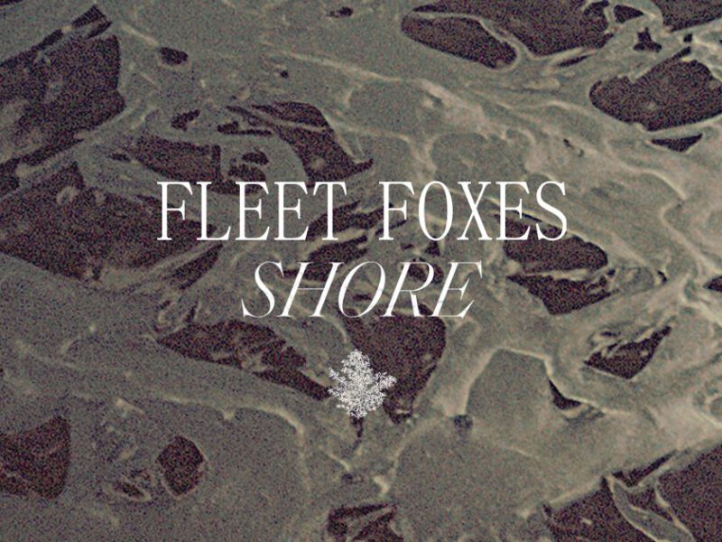 Shore