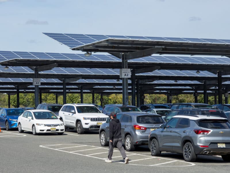 Ayamigemino Liviparkinglot3 8426